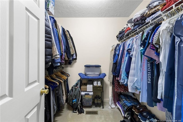 spacious closet with carpet