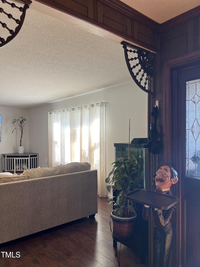 living room featuring a textured ceiling and dark wood-type flooring