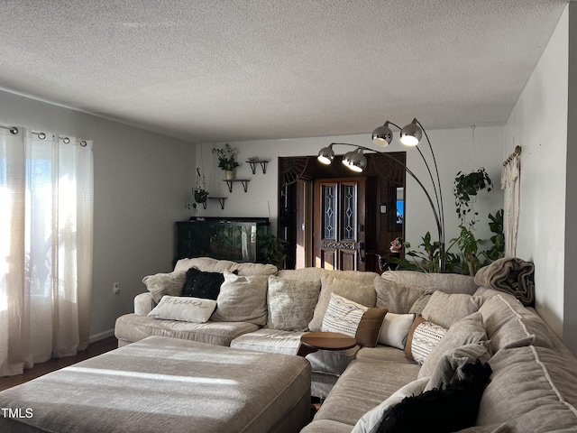 living room featuring a textured ceiling