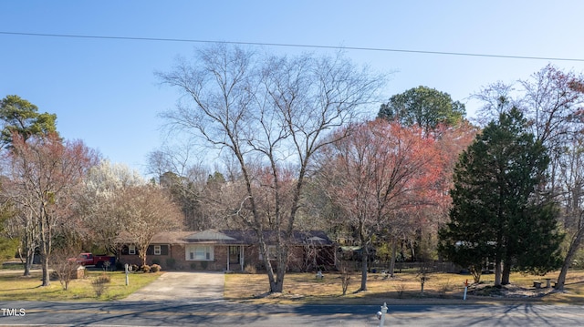 view of front of house featuring brick siding and driveway