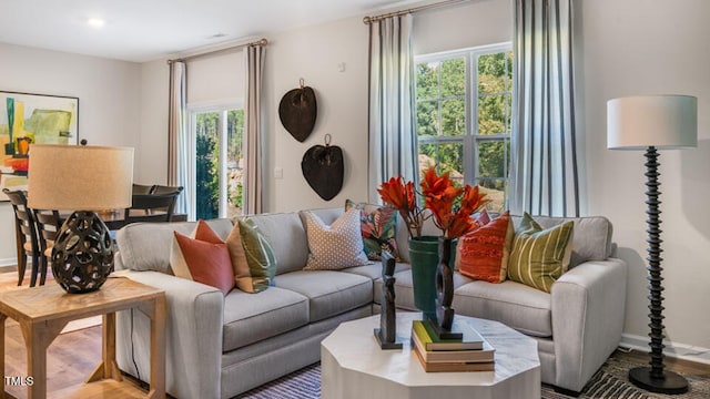 living room featuring light hardwood / wood-style flooring