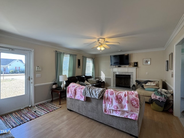 living room featuring hardwood / wood-style flooring, crown molding, ceiling fan, and a fireplace