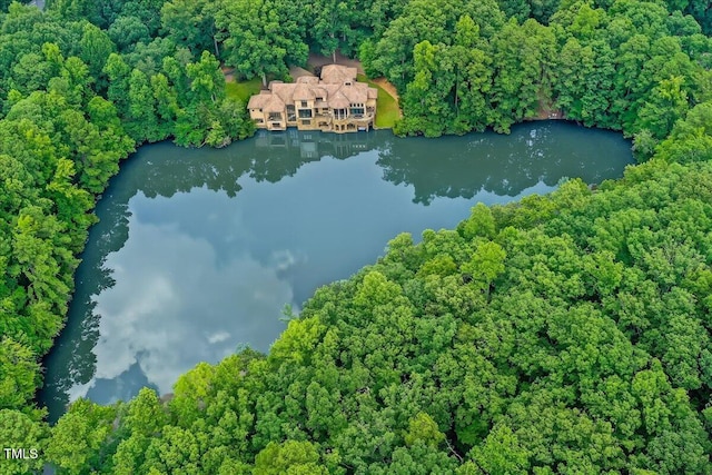 102 Anna Lake Ln, Cary, NC 27513 - photo 4