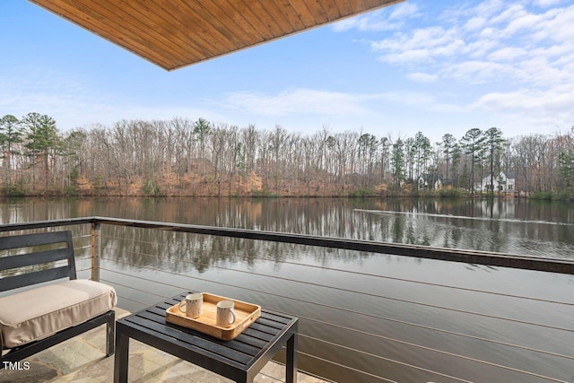 102 Anna Lake Ln, Cary, NC 27513 - photo 72