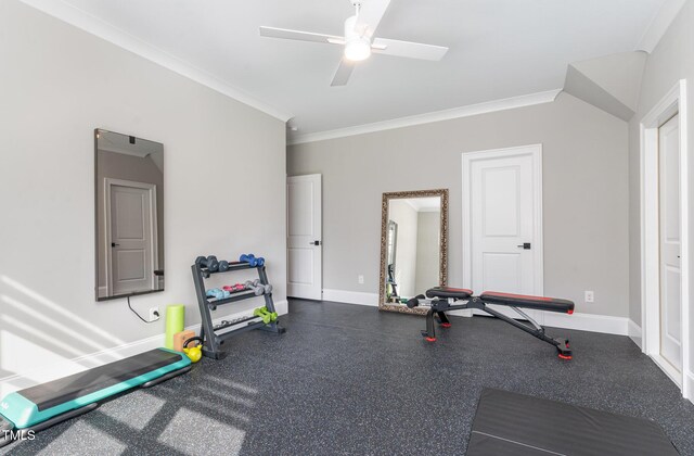 workout room featuring crown molding, baseboards, and ceiling fan