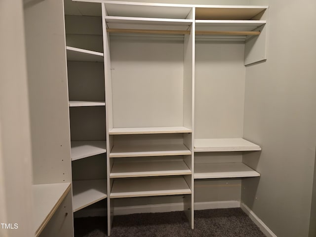 walk in closet featuring carpet flooring