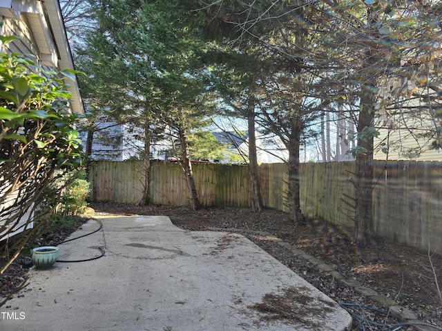 view of yard featuring a patio and a fenced backyard