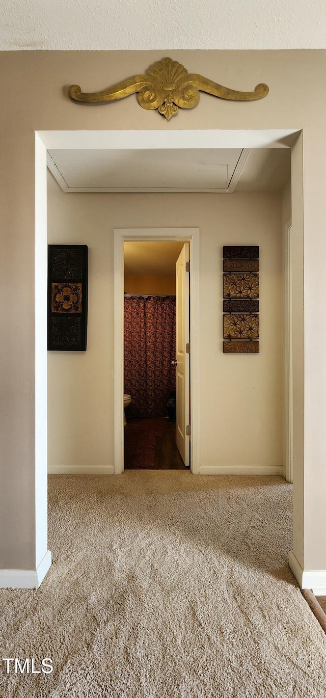 hall featuring carpet