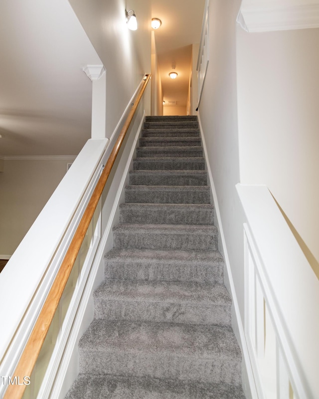 104 Mainline Station Dr, Durham, NC 27560 - stairway with carpet flooring and ornamental molding