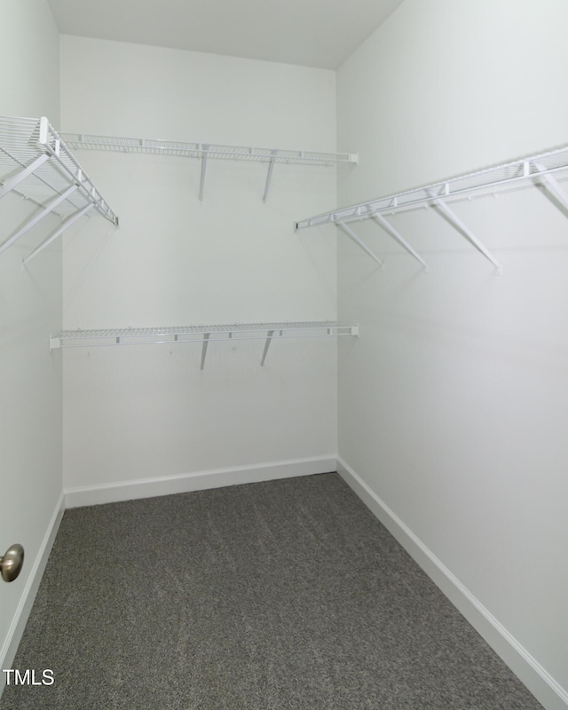 104 Mainline Station Dr, Durham, NC 27560 - spacious closet featuring dark carpet
