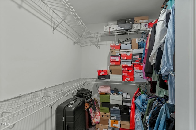 view of spacious closet