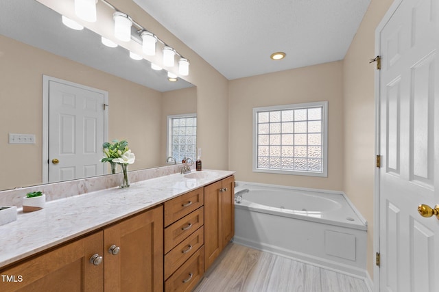 276 Sagamore Dr, Louisburg, NC 27549 - bathroom with a garden tub, wood finished floors, a wealth of natural light, and vanity