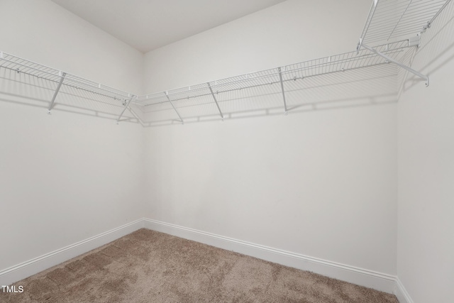 walk in closet featuring carpet