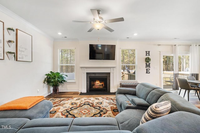 220 Green Haven Blvd, Youngsville, NC 27596 - living area featuring a ceiling fan, ornamental molding, a healthy amount of sunlight, and wood finished floors