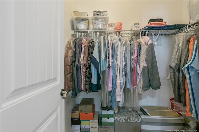 view of spacious closet