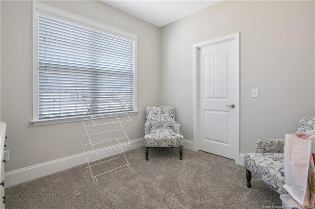 sitting room with carpet floors