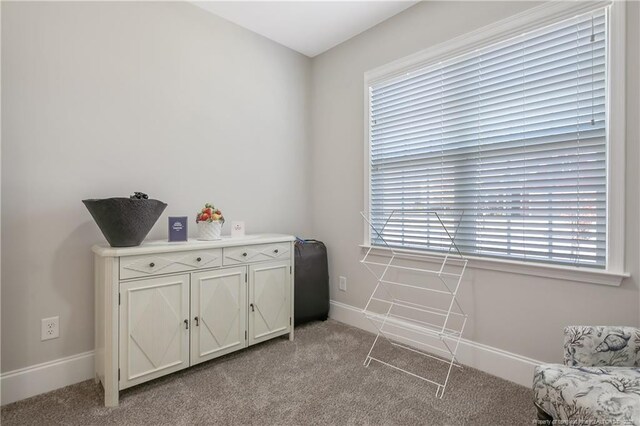 interior space featuring light colored carpet