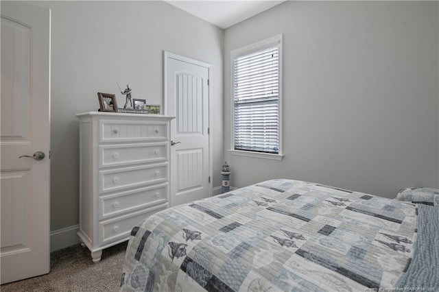 bedroom with carpet flooring