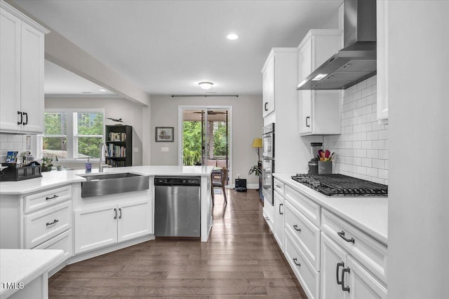 208 Cecelia Ct, Cary, NC 27519 - kitchen with appliances with stainless steel finishes, wall chimney exhaust hood, a sink, dark wood-type flooring, and light countertops