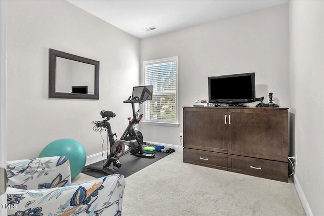 208 Cecelia Ct, Cary, NC 27519 - workout room with baseboards and carpet