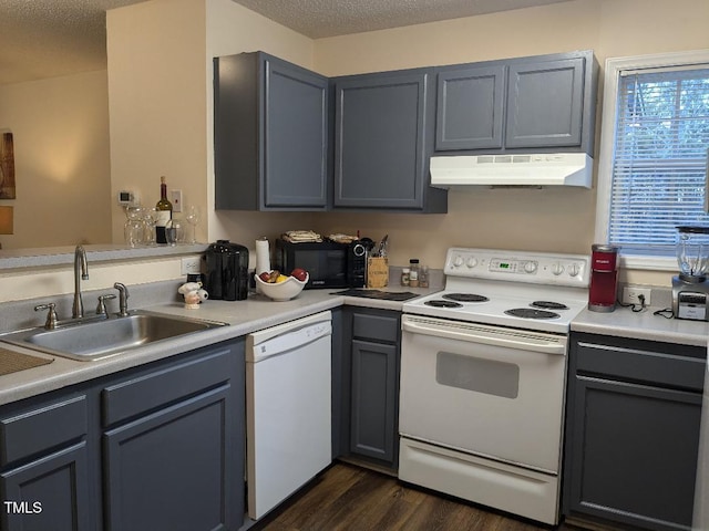 kitchen with sink, white appliances, gray cabinetry, dark hardwood / wood-style floors, and a textured ceiling