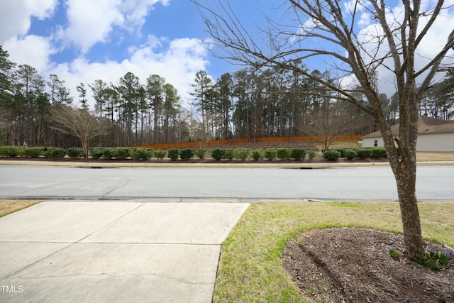 view of road with driveway