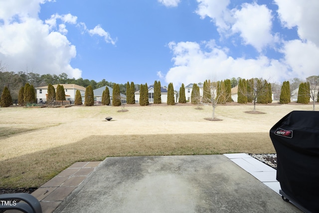 view of yard featuring a patio area