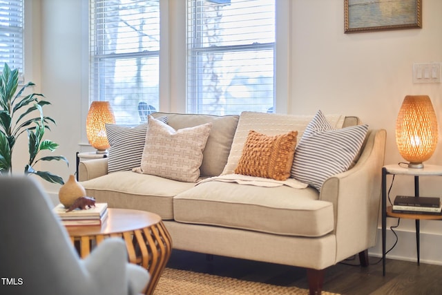 living room featuring a healthy amount of sunlight and hardwood / wood-style floors