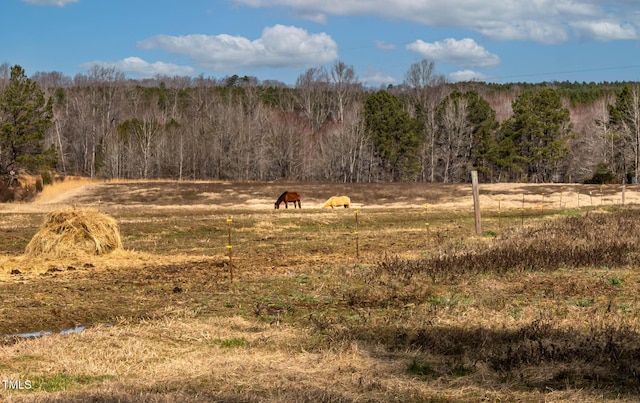 view of landscape with a rural view