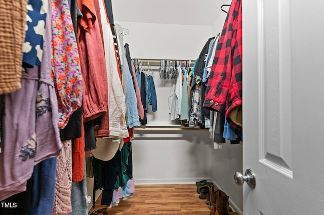 spacious closet featuring wood finished floors