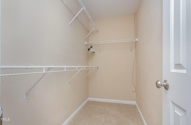 spacious closet with light carpet