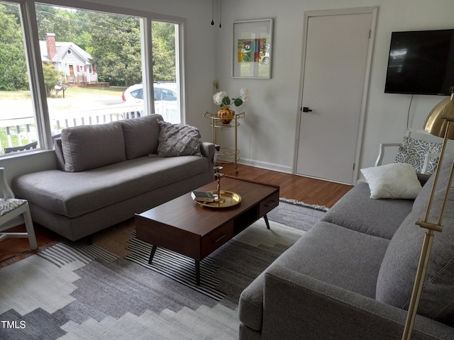 living room with light hardwood / wood-style flooring