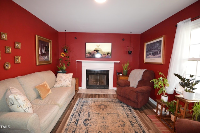 living room featuring hardwood / wood-style flooring