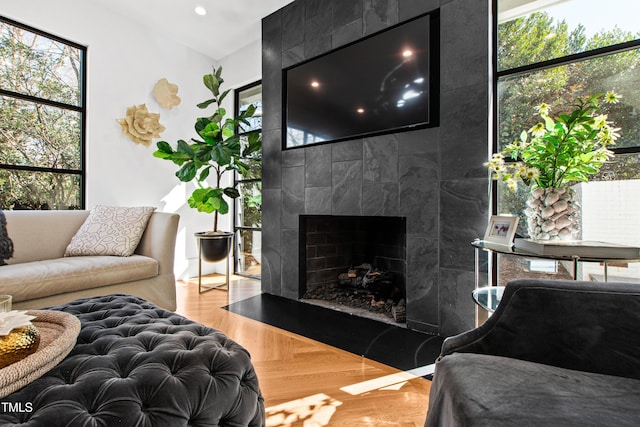 living room featuring a fireplace and wood finished floors