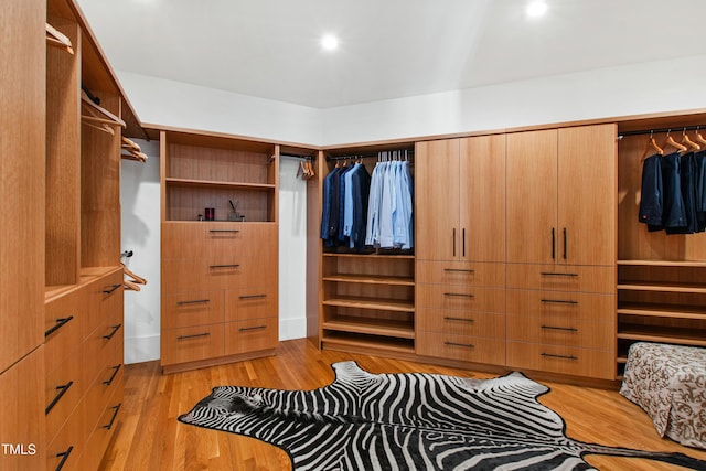 walk in closet with light wood-type flooring