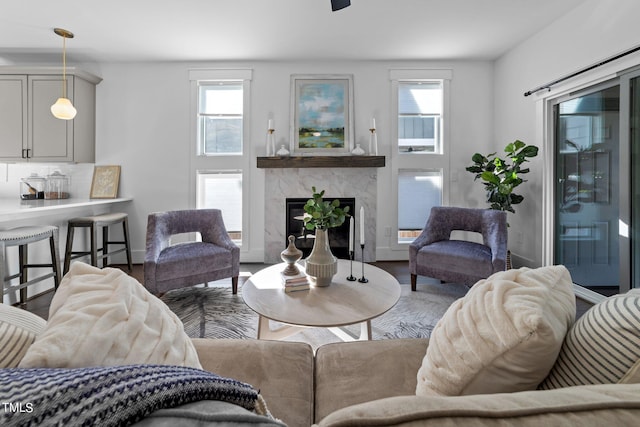 living room with hardwood / wood-style floors and a premium fireplace