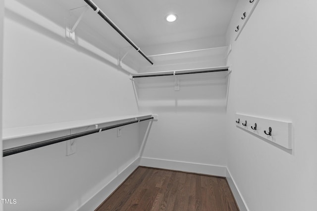 walk in closet with dark hardwood / wood-style floors