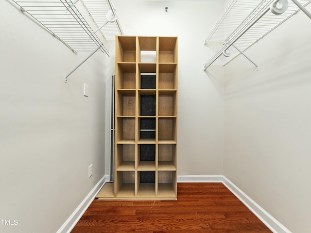 spacious closet with wood finished floors