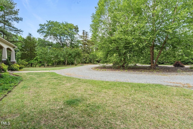 145 Vinca Dr, Carthage, NC 28327 - view of green lawn with gravel driveway