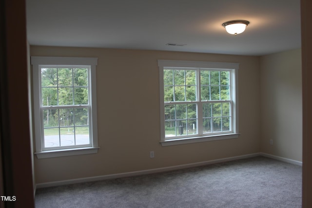 empty room featuring a healthy amount of sunlight and carpet flooring