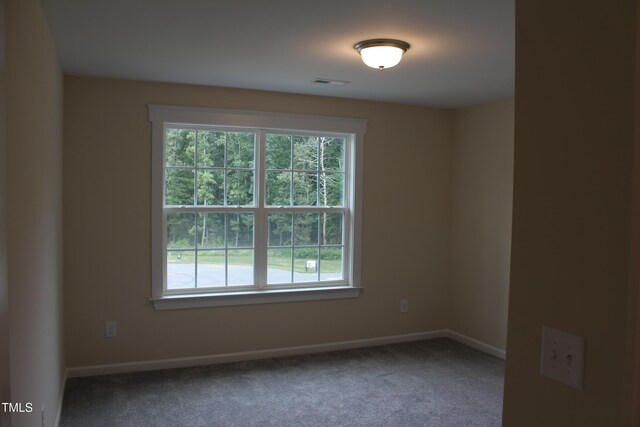 empty room featuring carpet