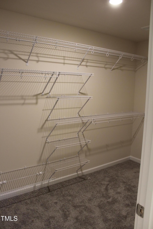 walk in closet featuring carpet