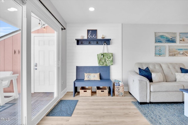 mudroom featuring wood-type flooring