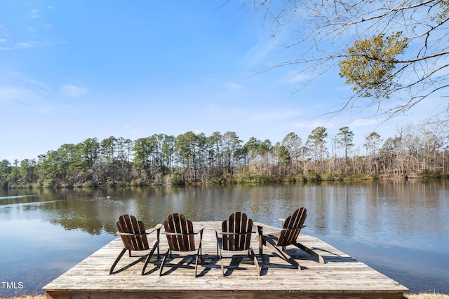 view of dock with a water view