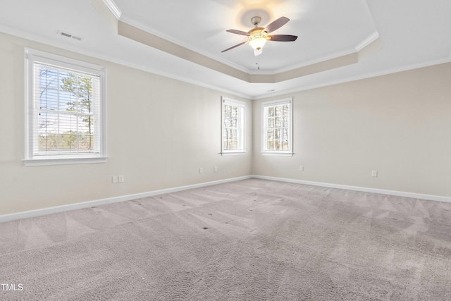 spare room featuring carpet, a tray ceiling, and ornamental molding