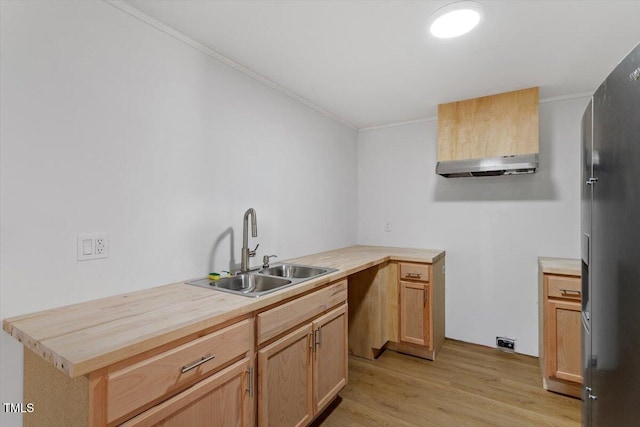 kitchen featuring ornamental molding, a sink, under cabinet range hood, and light wood finished floors