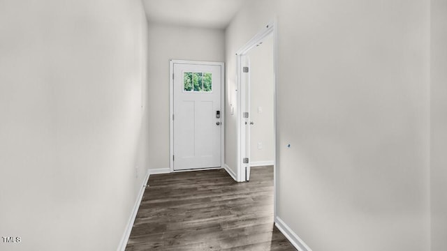 1009 Ocean Ct, Carthage, NC 28327 - foyer entrance featuring dark wood-style floors