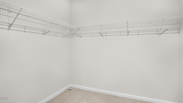 1009 Ocean Ct, Carthage, NC 28327 - spacious closet featuring carpet floors