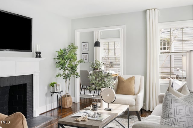 living room featuring a fireplace and dark wood-type flooring