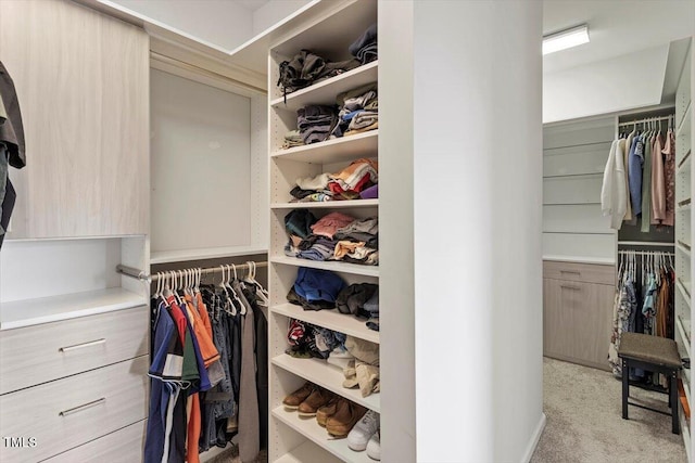 spacious closet featuring carpet floors